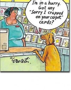 Carpet Jokes: Dog looking for a card that says sorry I crapped on your carpet